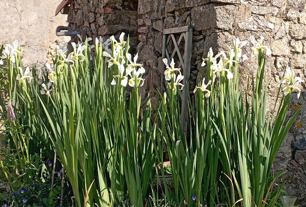 Charmant Gite A La Campagne, Proche Du Puy Du Fou, Les Charmes De Castellariis Pouzauges Exteriör bild
